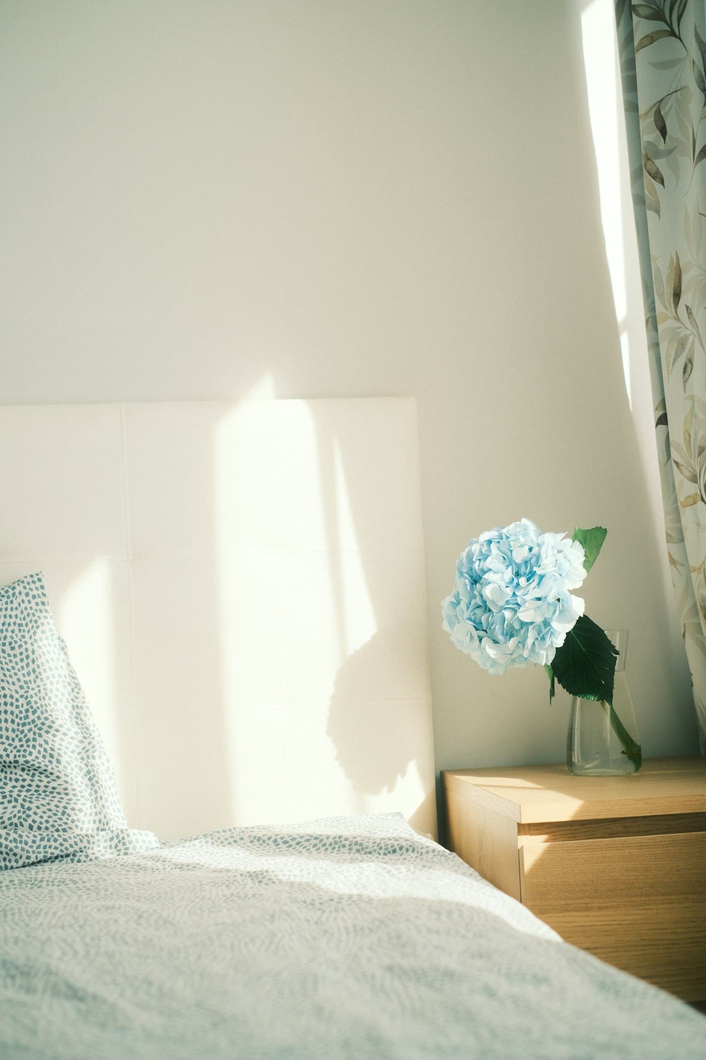 Bouquet de fleurs posé dans une chambre lumineuse